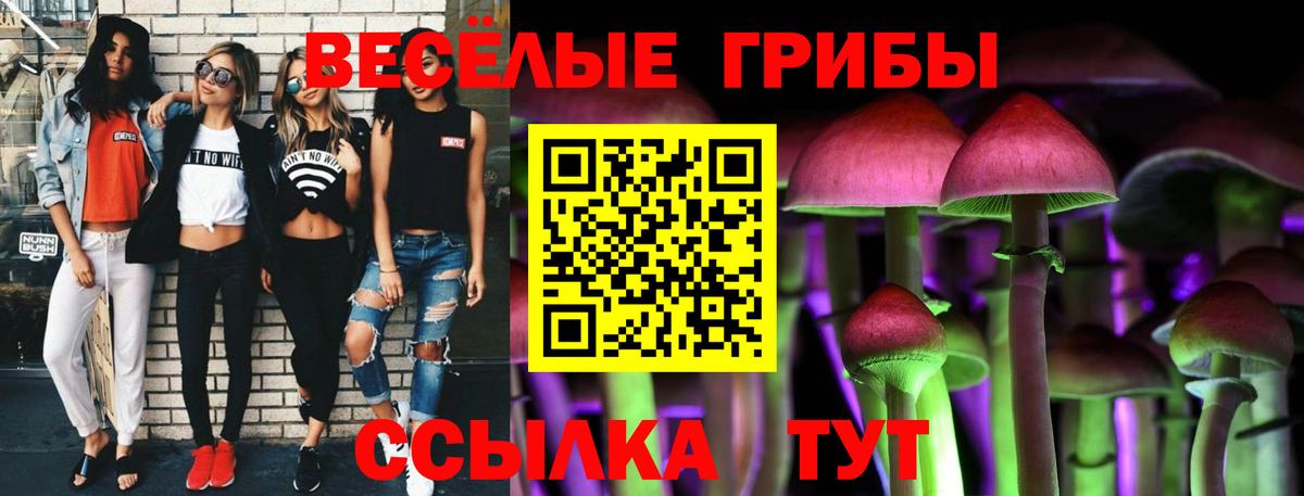 Бердск  Псилоцибиновые грибы Psilocybe  Вход с VPN 